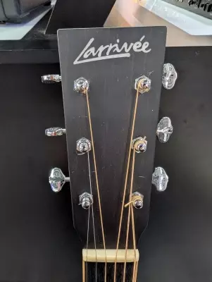 LARRIVEE D40 LEFT HANDED 2
