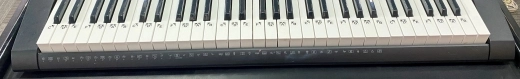 Casio CTK-2400 61 Key 3