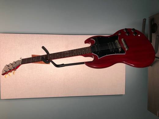 Gibson - SGTR00VCNH 4