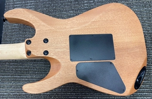 Charvel - Pro-Mod DK24 HH FR, Aged Ebony Fingerboard - Natural Okoume 2