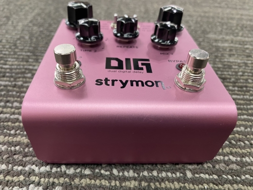 Strymon - DIG V1 6