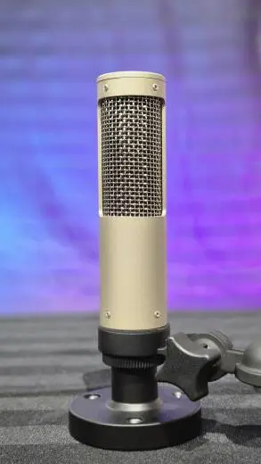 Royer - R-10 Microphone � ruban de Studio/Live 2