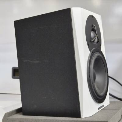 Store Special Product - Dynaudio - LYD-5 Moniteur de r�f�rence 5\