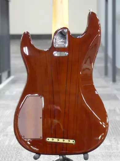 Godin Guitars - Passion RG-4 Swamp Ash basse, touche érable 7