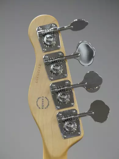 Godin Guitars - Passion RG-4 Swamp Ash basse, touche érable 8
