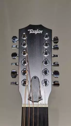 Taylor Guitars - Guitare acoustique  12 cordes 2