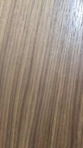 Taylor Guitars - Guitare acoustique  12 cordes 2