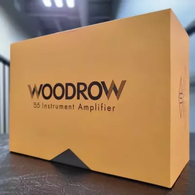 Universal Audio - Pdale damplification dinstrument UAFX Woodrow 55 6