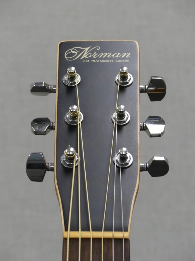 Norman Protege B18-Cedar Folk Tobacco Burst 8