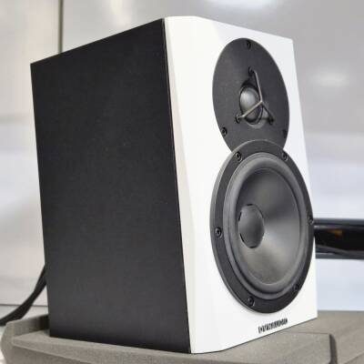 Store Special Product - Dynaudio - LYD-5 Moniteur de r�f�rence 5\
