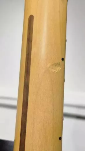 Fender - Guitare Telecaster American Professional II, touche en érable - Noir 2