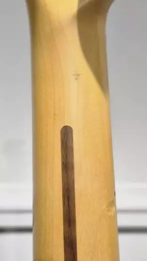 Fender - Guitare Telecaster American Professional II, touche en érable - Noir 2