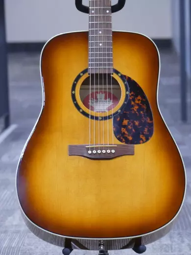 Norman-B20 Burst HG 40e anniversaire 2