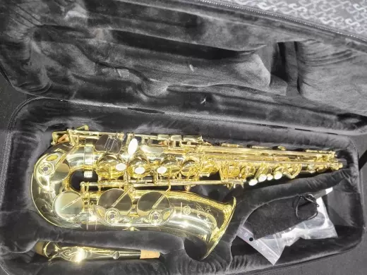 Selmer - SeleS Axos - Saxophone alto - Vernis transparent 2
