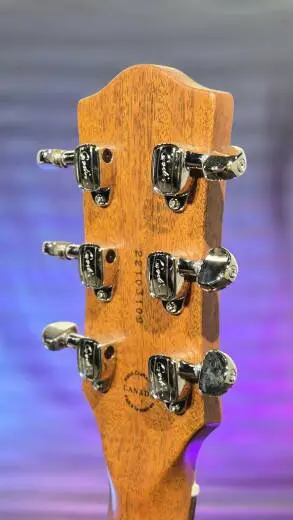 Godin Guitars - Guitare �lectrique Radium Winchester Brown RN avec sac de transport 2