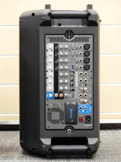 Samson - Système de son portable 1000W 2
