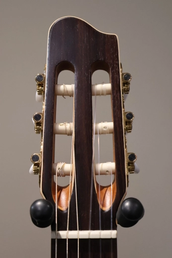 La Patrie Guitars - Etude 3