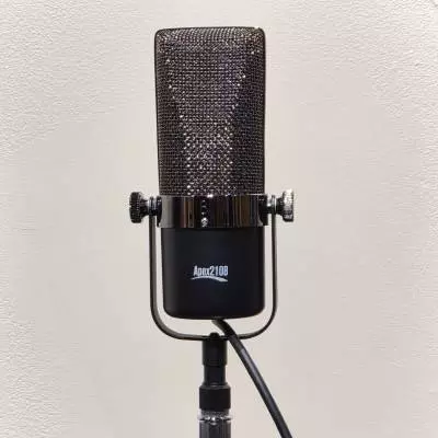 Apex - Microphone  ruban classique Apex210B 2