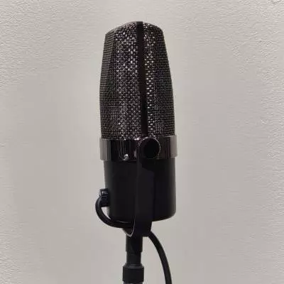Apex - Microphone  ruban classique Apex210B 2