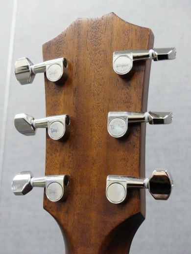 Taylor Guitars - Guitare lectro-acoustique GTE acajou 2