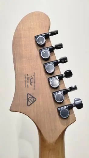 Squier - Starcaster Contemporary Active � touche en �rable torr�fi� (fini Shoreline Gold) 2