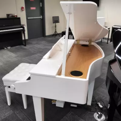 Roland - Piano à queue numérique GP607 avec banc (fini blanc poli) 2