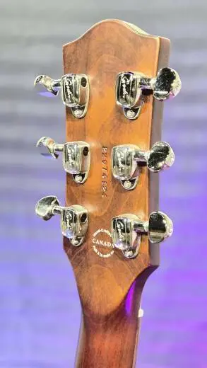 Godin Guitars - Guitare �lectrique Radiator - Burbon Burst 2