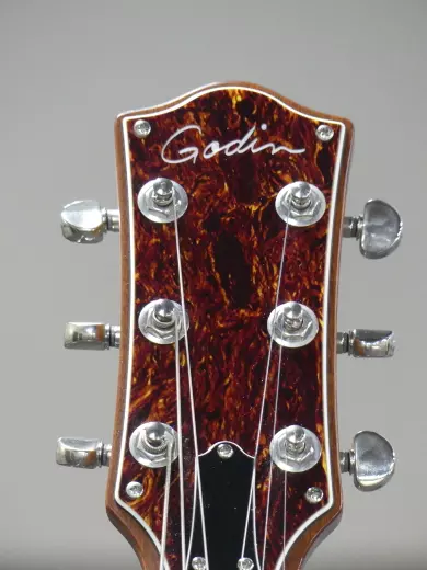 Godin - Montreal Premiere HT Laguna 3