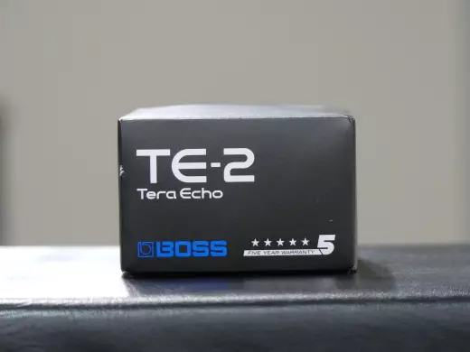 BOSS - Tera Echo 2