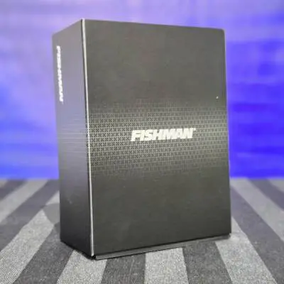 Fishman - BP-100 Micro de basse 2