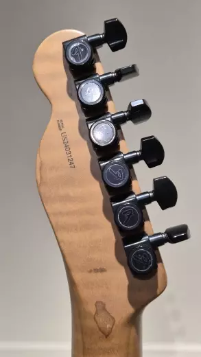 Fender - Telecaster American Professional II HH en série limitée (fini naturel vieilli, touche en érable torréfié) 2