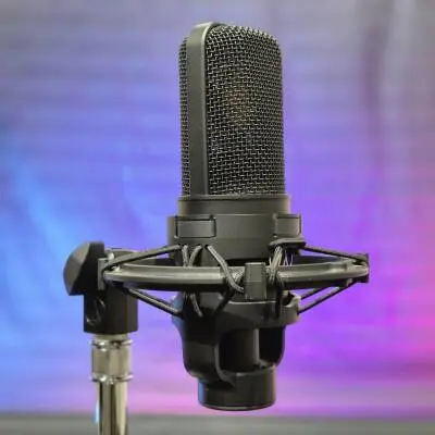 Audio-Technica - Microphone � condensateur (AT4040) 2