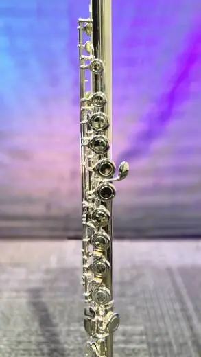 Trevor James - 10x Silver Plated Student Flute - Offset-G, C-Foot 2