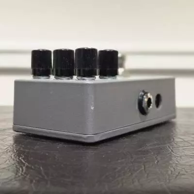 Catalinbread - Pdale Belle Epoch Tape echo gris et vert 2