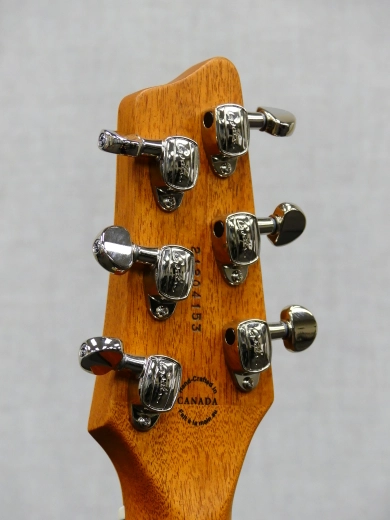 Godin Guitars - A6 Ultra Naturel Satiné 2