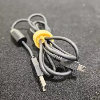 Singular Sound - Pdale Beat Buddy 2