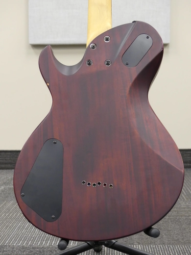 Schecter Omen Solo 6 Walnut 6