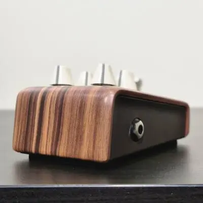 L.R Baggs - Align Series P�dale de r�verb�ration acoustique 2