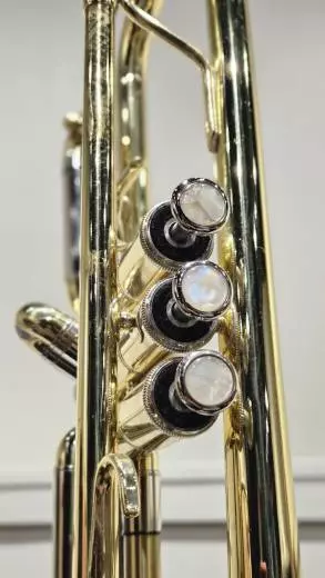 Eastman Winds - Trompette en Sib - Vernie - Avec tui 2