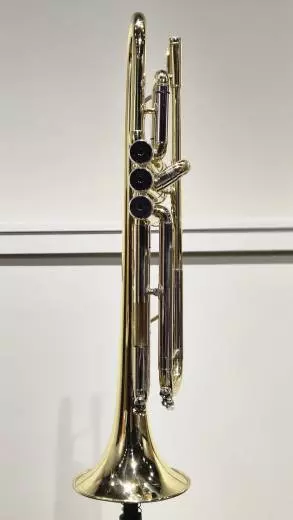 Eastman Winds - Trompette en Sib - Vernie - Avec tui 2