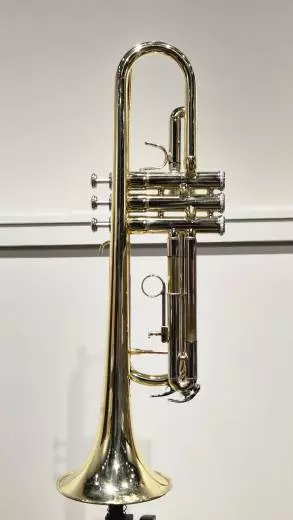 Eastman Winds - Trompette en Sib - Vernie - Avec tui 2