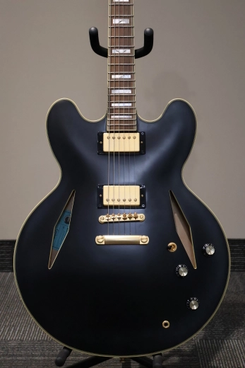 Epiphone - Emily Wolfe Sheraton Stealth-Noir Satin 2