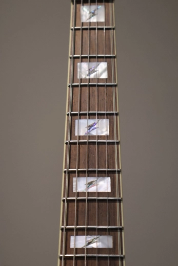 Epiphone - Emily Wolfe Sheraton Stealth-Noir Satin 3