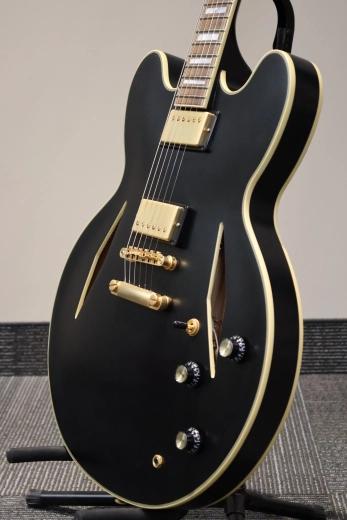 Epiphone - Emily Wolfe Sheraton Stealth-Noir Satin 5