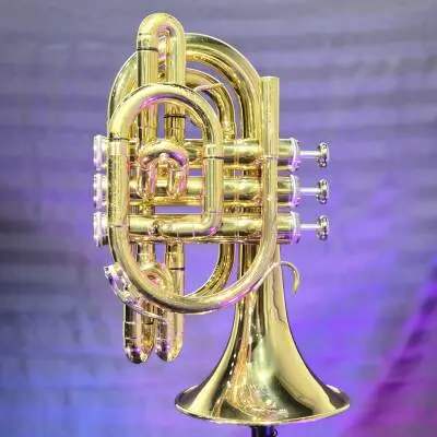 Jupiter - S�rie JTR710 - Trompette de poche en Sib - Lacqu�e 2