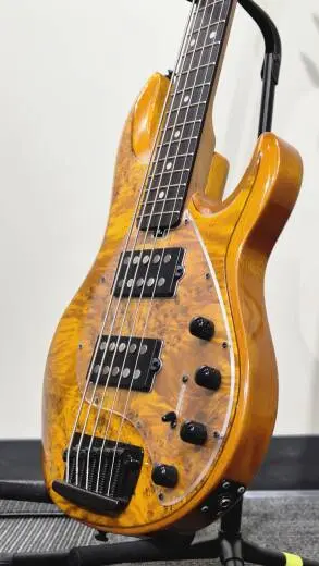 Sterling by Music Man - Basse StingRay Ray35HH � 5 cordes (fini Amber) 2