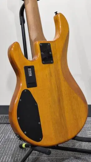 Sterling by Music Man - Basse StingRay Ray35HH � 5 cordes (fini Amber) 2