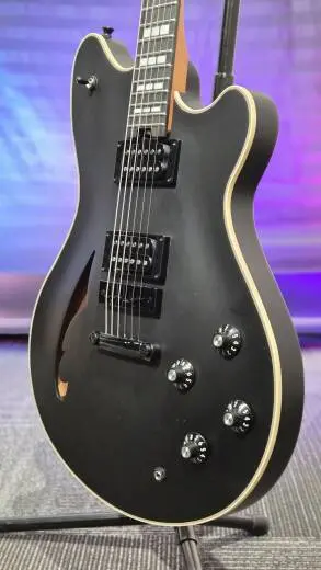 EVH - Guitare �lectrique SA-126 Special (fini noir Stealth, �tui inclus) 2