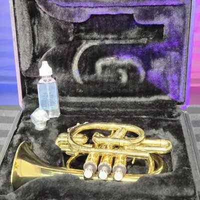 Jupiter - S�rie JTR710 - Trompette de poche en Sib - Lacqu�e 2