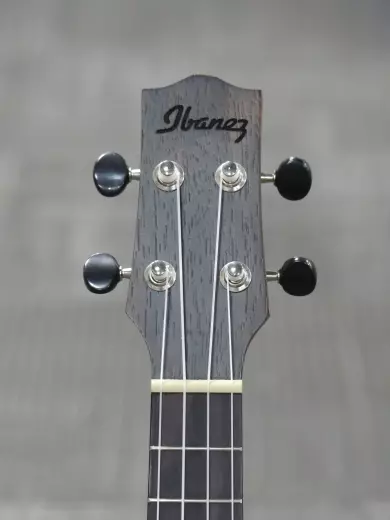 Ibanez - Ukul�l� concert � pan coup� UEW13MEE EW, �b�ne de Macassar avec �lectronique - Pores ouverts marron fonc� 2